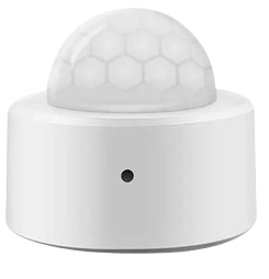 Motion Detector